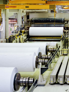 Paper Pulp